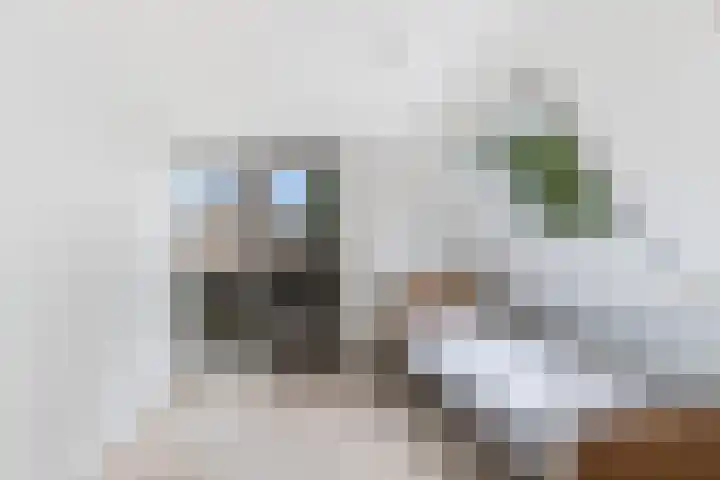 Weegbree 2 Bergambacht thumbnail 23