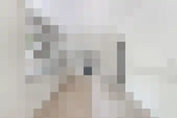 Weegbree 2 Bergambacht thumbnail 4