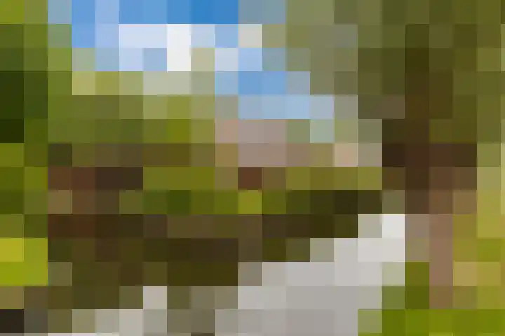 Weegbree 2 Bergambacht thumbnail 40