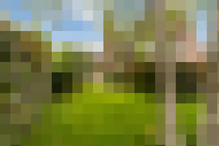 Weegbree 2 Bergambacht thumbnail 45