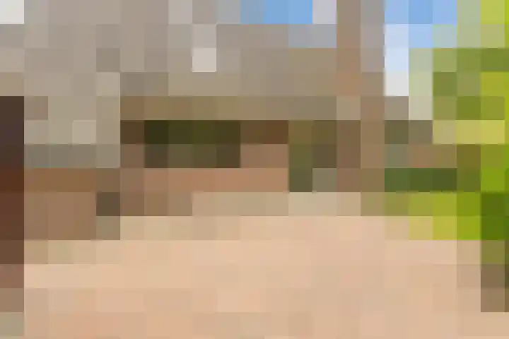 Weegbree 2 Bergambacht thumbnail 47