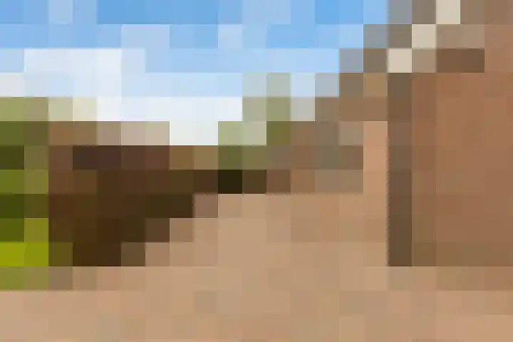 Weegbree 2 Bergambacht thumbnail 48