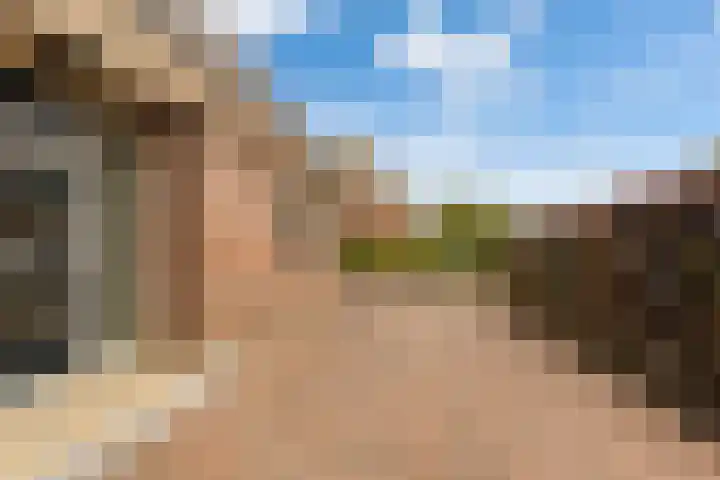 Weegbree 2 Bergambacht thumbnail 49