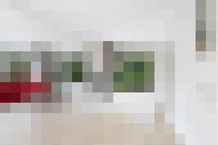 Weegbree 2 Bergambacht thumbnail 6