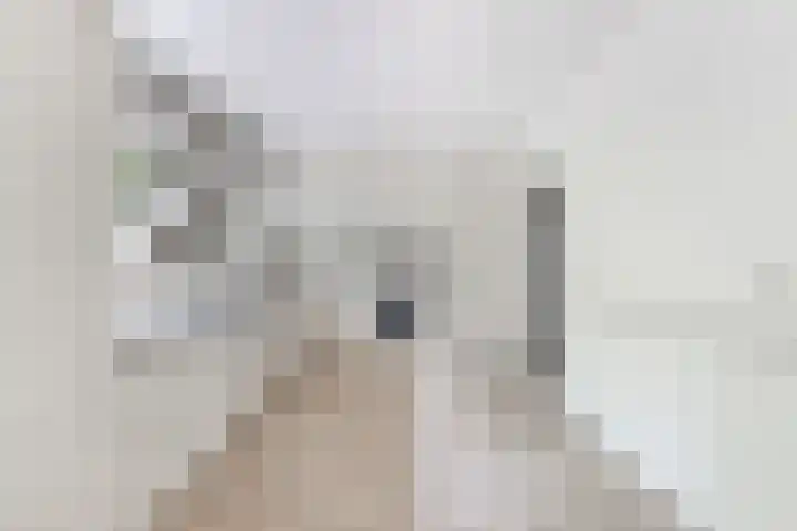 Weegbree 2 Bergambacht thumbnail 8