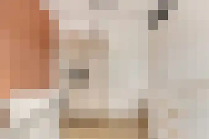 Weegbree 22 Heiloo thumbnail 21