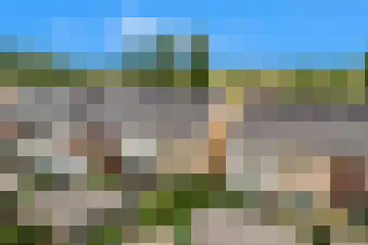 Weegbree 22 Heiloo thumbnail 31