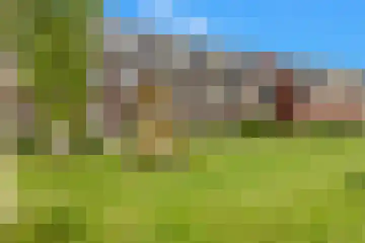 Weegbree 22 Heiloo thumbnail 33