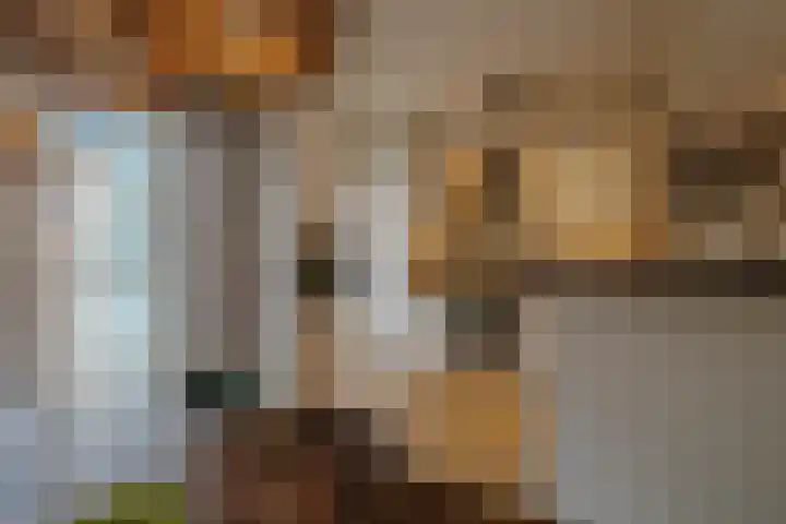 Weegbree 23 Opmeer thumbnail 13