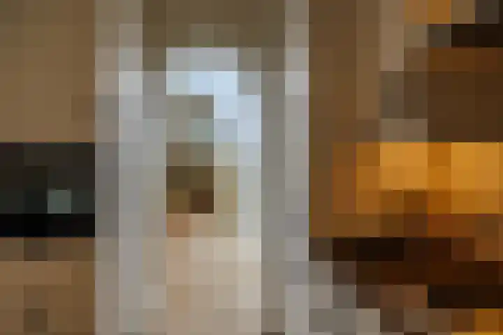 Weegbree 23 Opmeer thumbnail 17