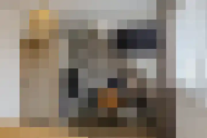 Weegbree 23 Opmeer thumbnail 24