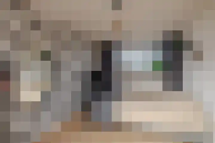 Weegbree 23 Opmeer thumbnail 25