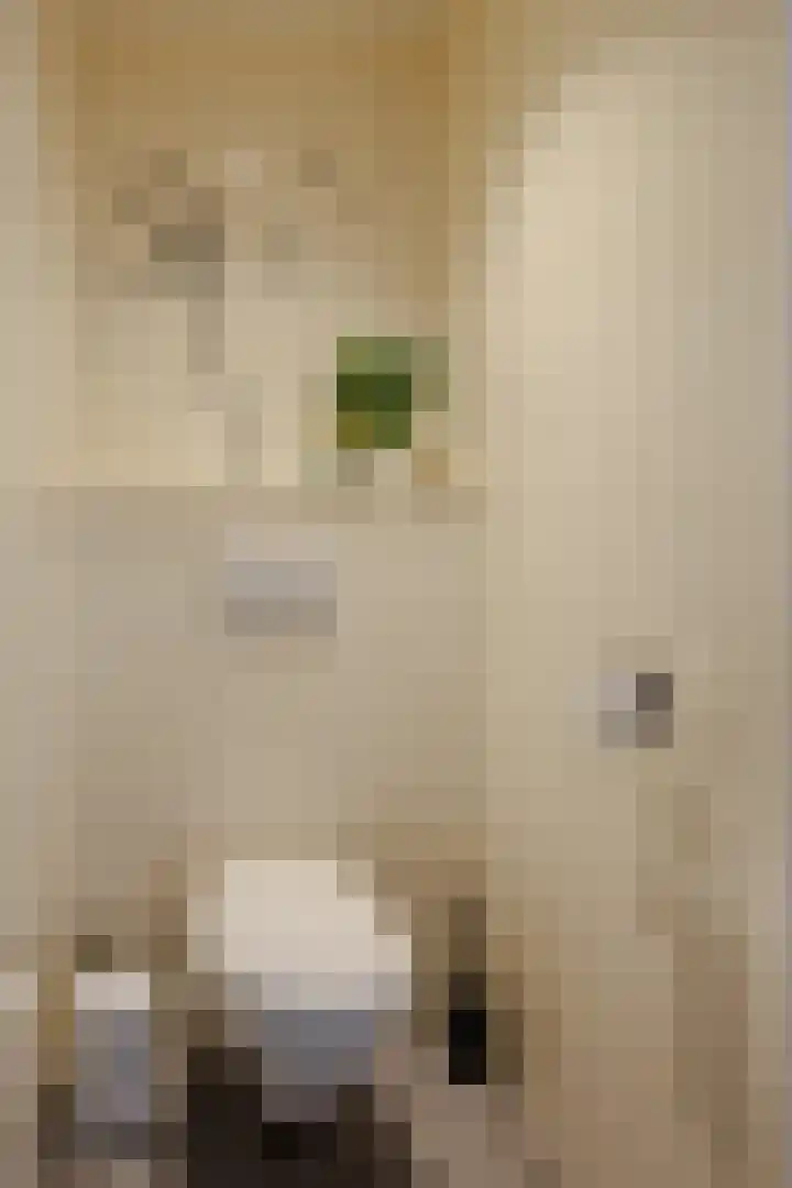 Weegbree 23 Opmeer thumbnail 35