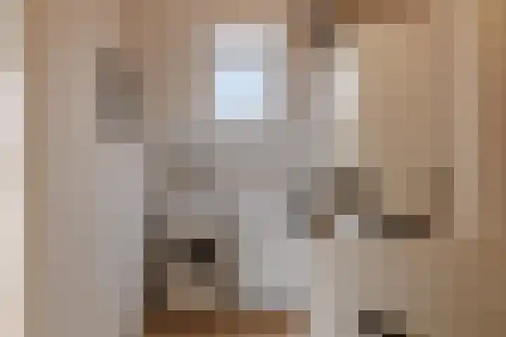 Weegbree 23 Opmeer thumbnail 38