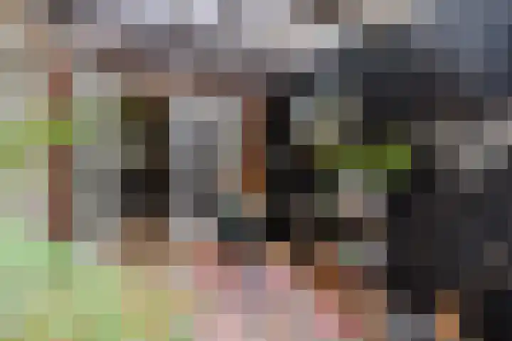 Weegbree 23 Opmeer thumbnail 4