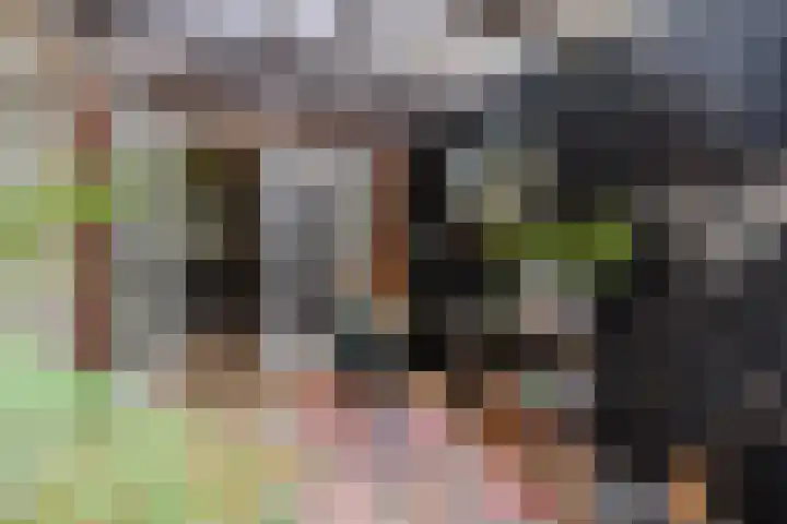 Weegbree 23 Opmeer thumbnail 41
