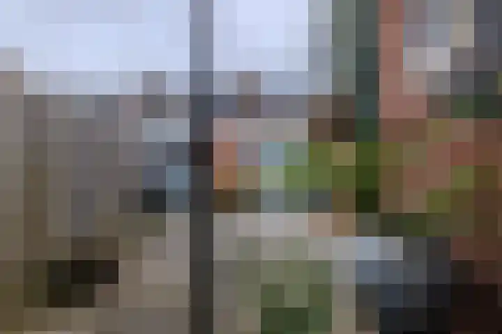Weegbree 23 Opmeer thumbnail 44