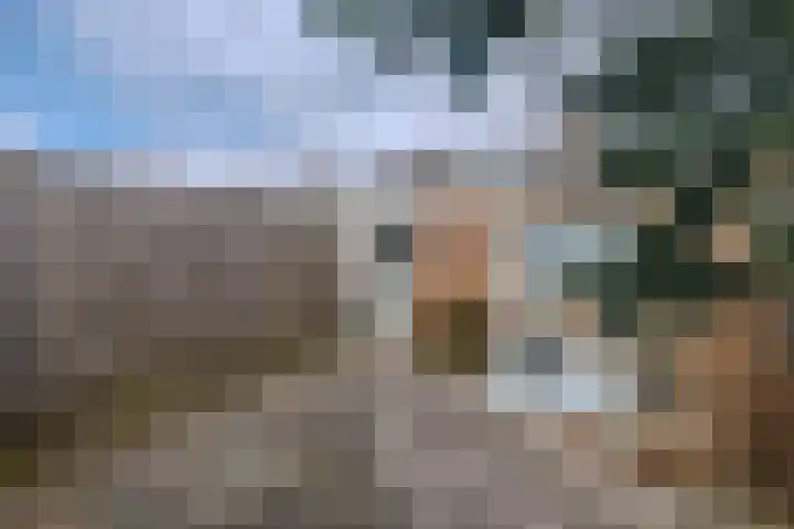 Weegbree 23 Opmeer thumbnail 47