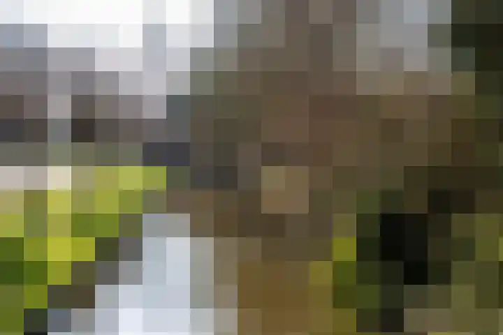 Weegbree 23 Opmeer thumbnail 52