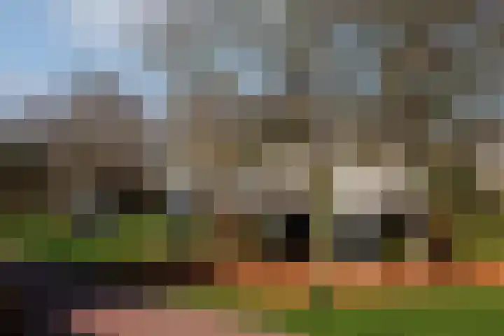 Weegbree 23 Opmeer thumbnail 53