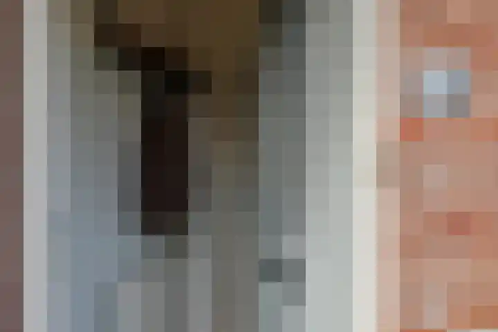 Weegbree 23 Opmeer thumbnail 6