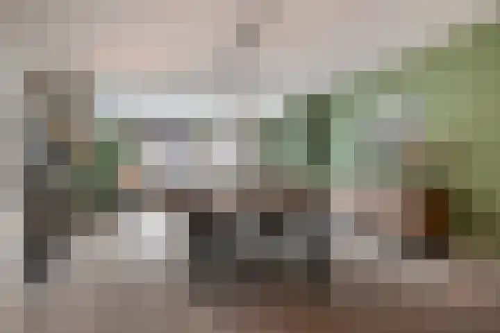 Weegbree 26 Mierlo thumbnail 10