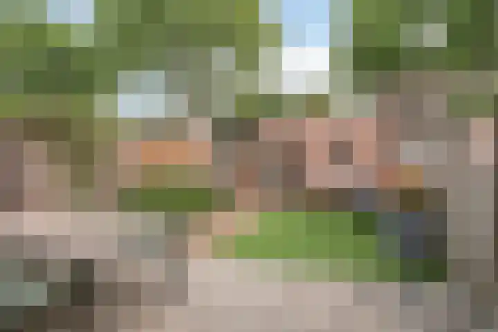 Weegbree 26 Mierlo thumbnail 20