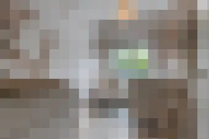 Weegbree 26 Mierlo thumbnail 25