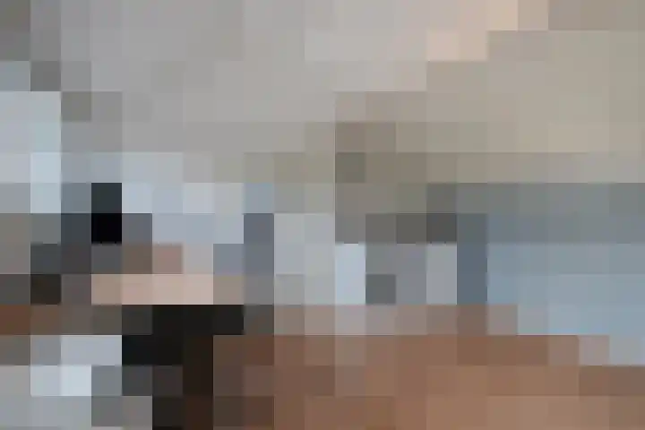 Weegbree 26 Mierlo thumbnail 31