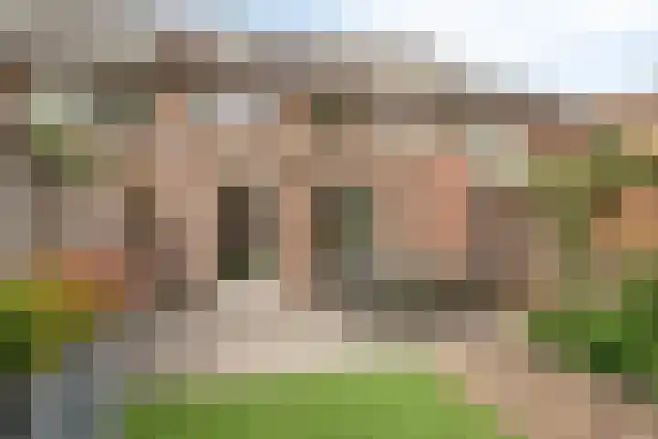 Weegbree 26 Mierlo thumbnail 36