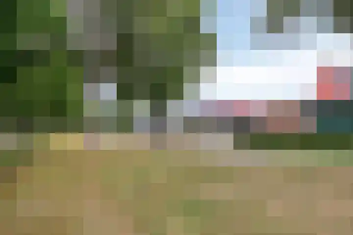 Weegbree 26 Mierlo thumbnail 40