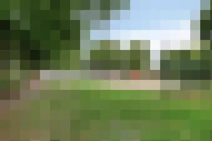 Weegbree 26 Mierlo thumbnail 41