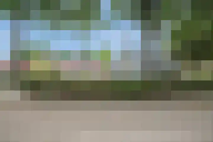 Weegbree 26 Mierlo thumbnail 42