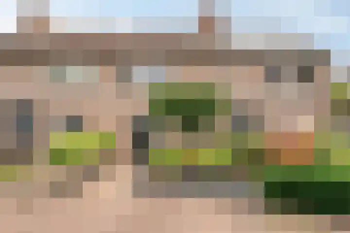 Weegbree 26 Mierlo thumbnail 50