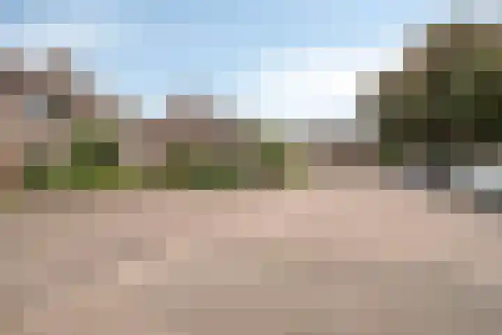 Weegbree 26 Mierlo thumbnail 6