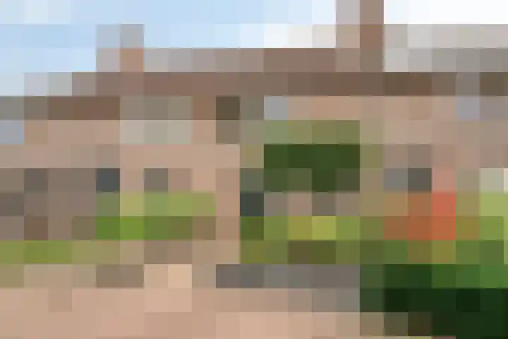 Weegbree 26 Mierlo thumbnail 7