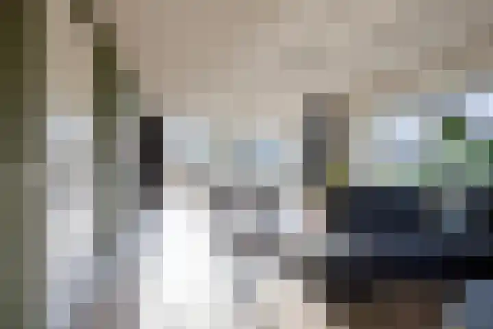 Weegbree 31 Grootegast thumbnail 10