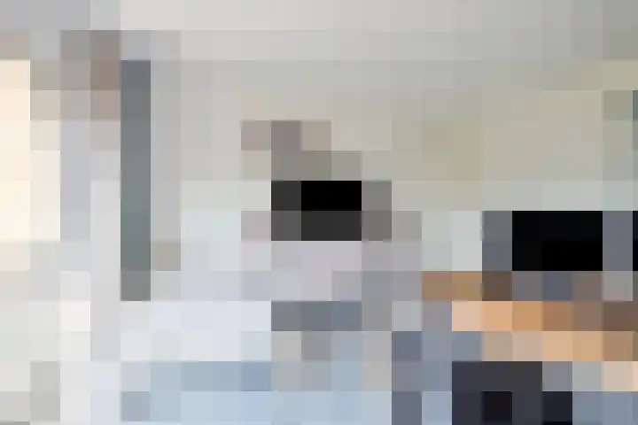 Weegbree 31 Grootegast thumbnail 22