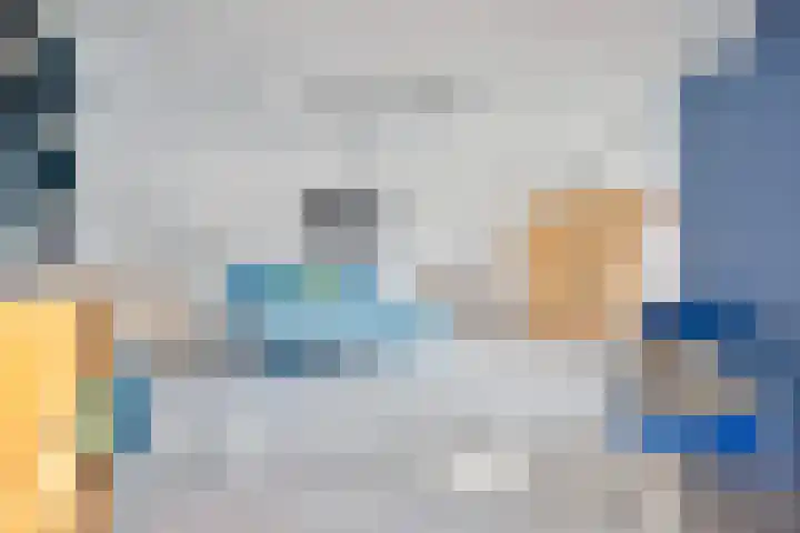 Weegbree 31 Grootegast thumbnail 26