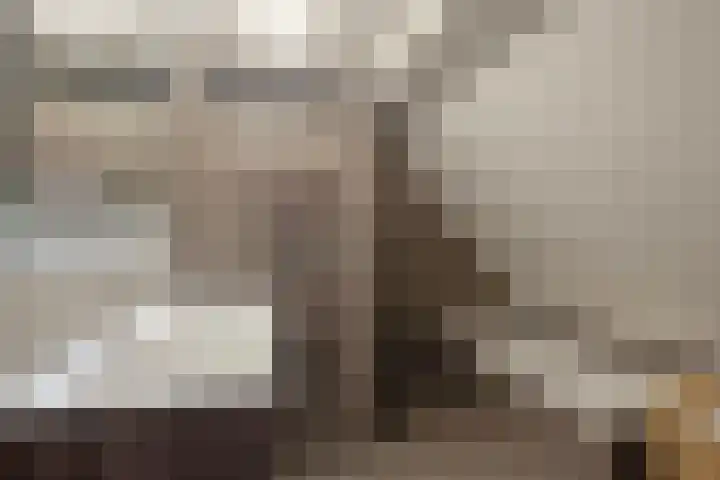 Weegbree 31 Grootegast thumbnail 29