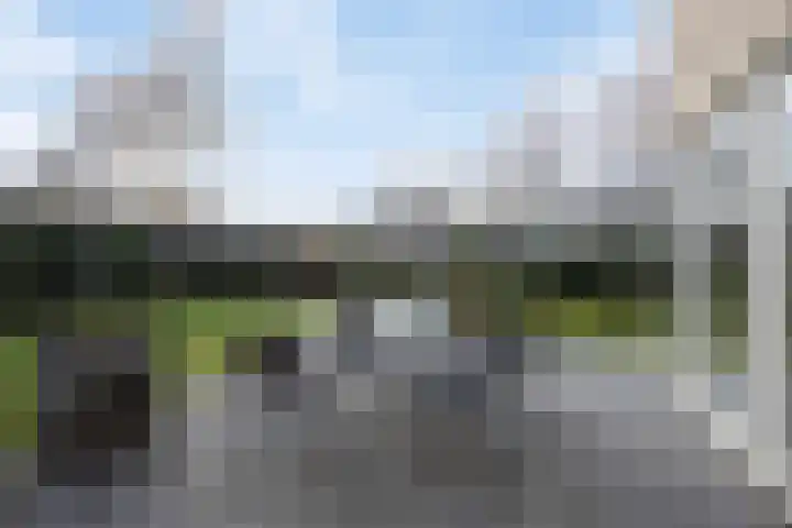 Weegbree 31 Grootegast thumbnail 40