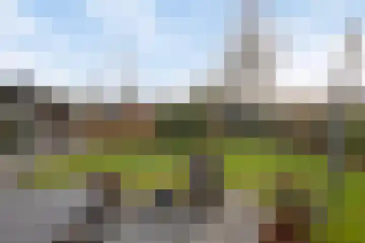 Weegbree 31 Grootegast thumbnail 42