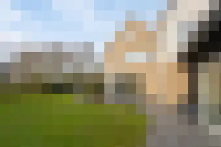 Weegbree 31 Grootegast thumbnail 44