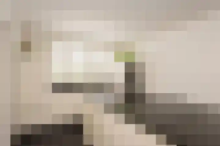 Weegbree 32 Udenhout thumbnail 18