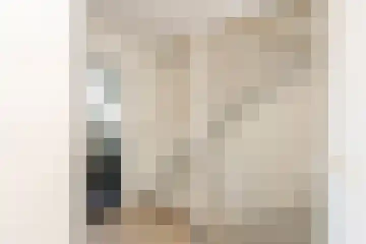 Weegbree 32 Udenhout thumbnail 21