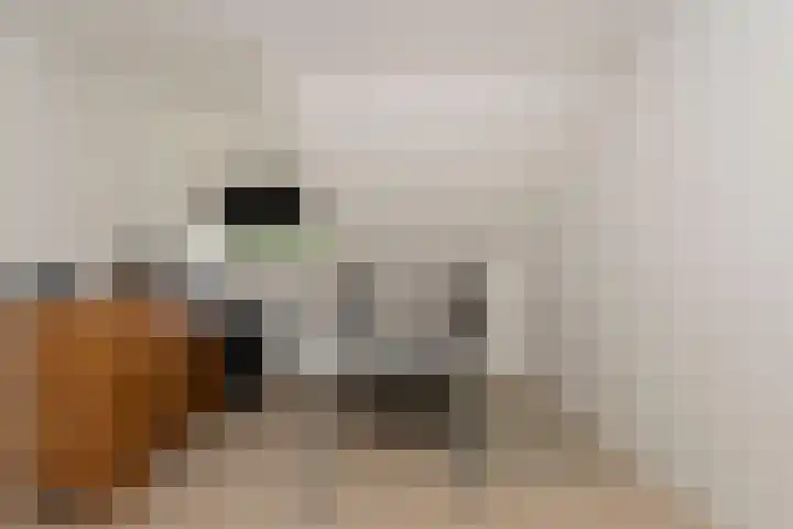 Weegbree 32 Udenhout thumbnail 24