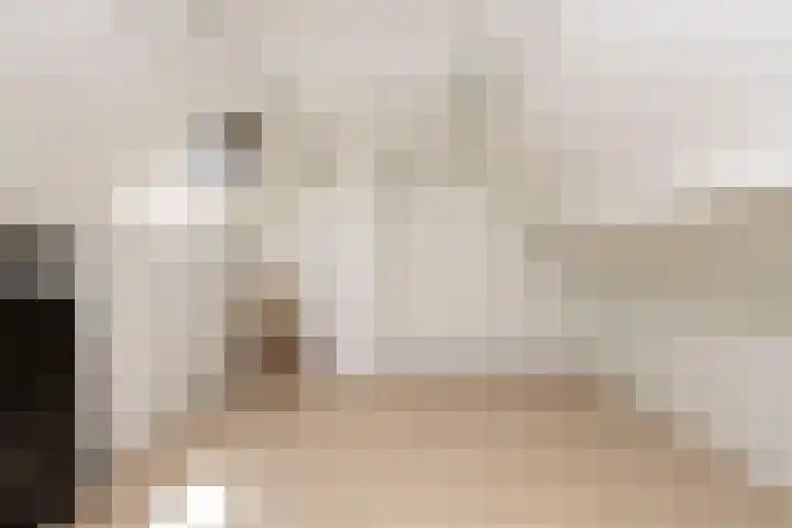 Weegbree 32 Udenhout thumbnail 31
