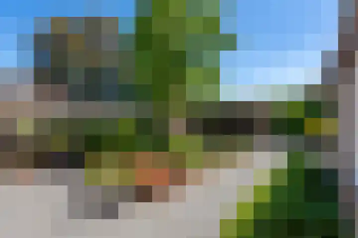 Weegbree 32 Udenhout thumbnail 33