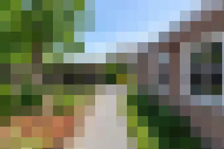 Weegbree 32 Udenhout thumbnail 34