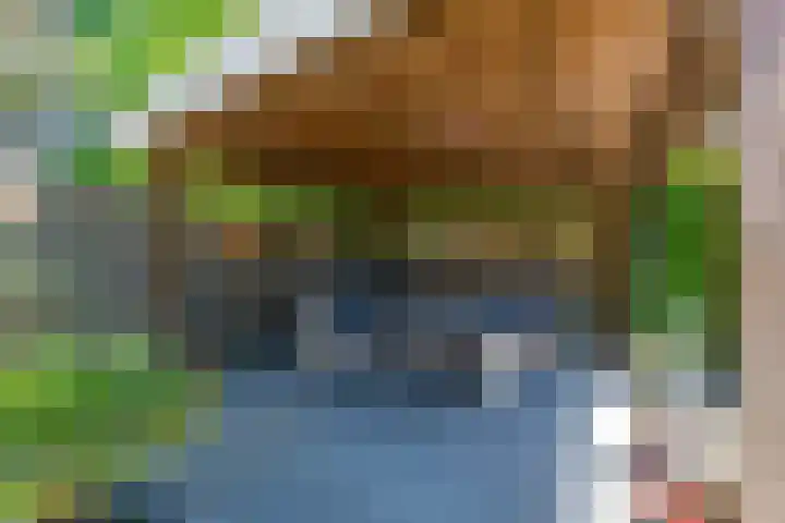 Weegbree 32 Udenhout thumbnail 37